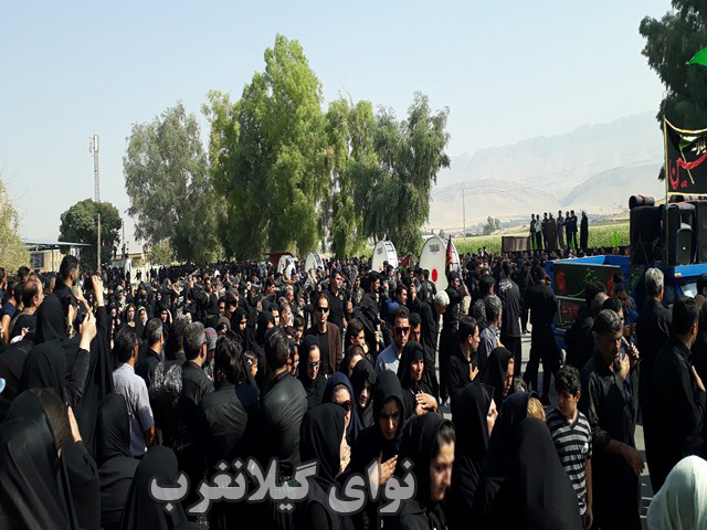 20180920_105422 (Copy)