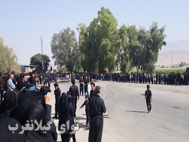 20180920_105948 (Copy)