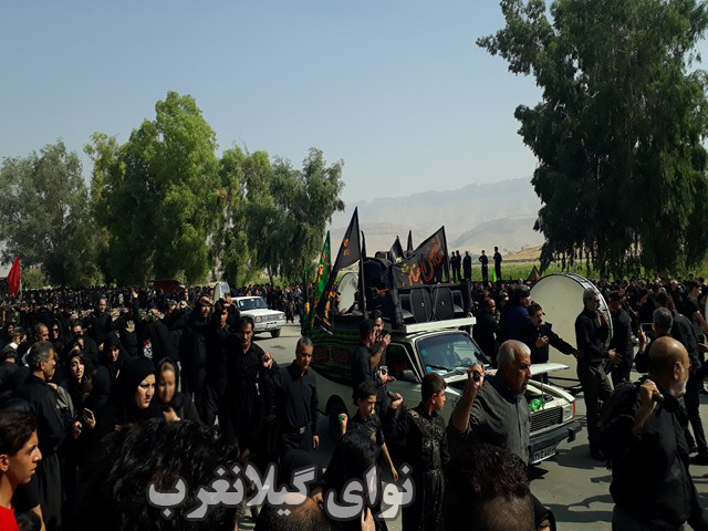 20180920_110505 (Copy)