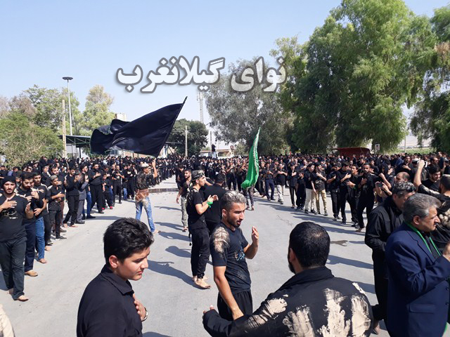 20180920_110851 (Copy)