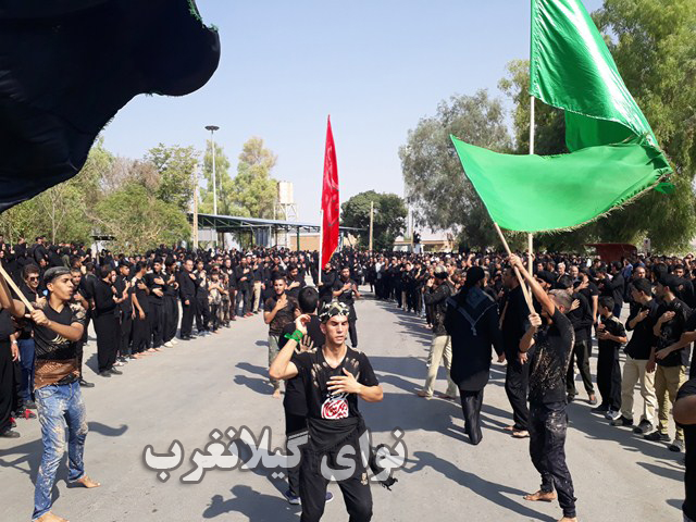 20180920_111008 (Copy)