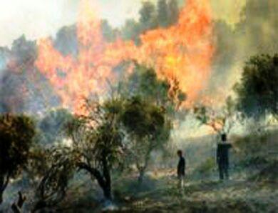 222222222222222222222222222222