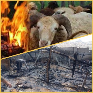 GridArt_۲۰۲۵۰۶۱۱_۱۲۵۰۰۰۱۳۸_copy_1638x1638