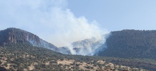 IMG_20230630_221707_630_copy_512x234_1