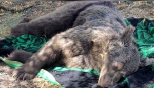 IMG_20250428_124856_268_copy_432x249_1