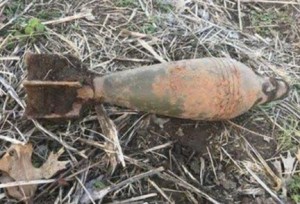 IMG_20250430_150832_317_copy_432x294