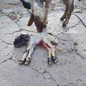 IMG_20250511_103440_126_copy_400x400