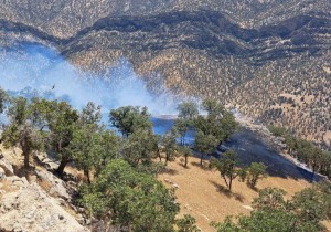 IMG_20250517_171516_612