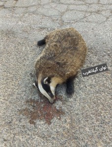 IMG_20250524_091023_028