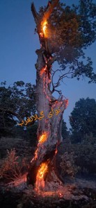 IMG_20250524_204614_075