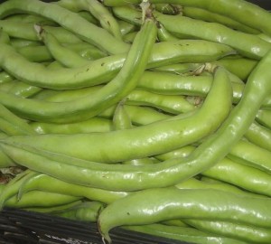 IMG_20250524_222728_030