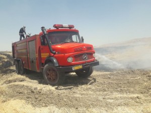 IMG_20250525_235236_469