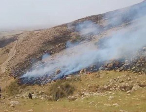 IMG_20250527_164237_359