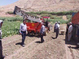 IMG_20250601_074307_802_copy_682x512