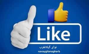 IMG_20250611_230947_991