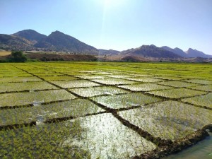 IMG_20250710_221706_097