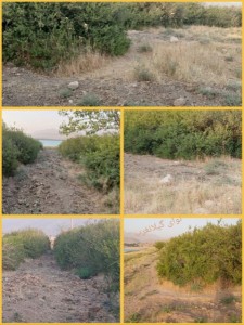 IMG_20250721_001141_051_copy_479x640