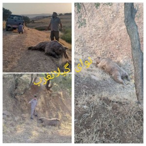 IMG_20250828_150645_585