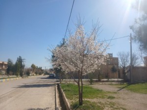 IMG_20260221_190606_728_copy_682x512