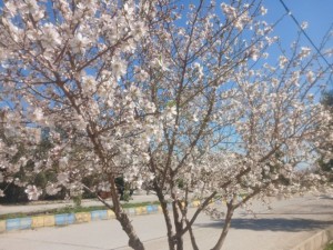 IMG_20260221_190610_943_copy_682x512