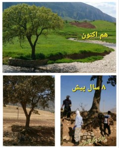 InShot_۲۰۲۵۰۴۱۰_۲۰۳۱۳۳۴۰۷_copy_548x685