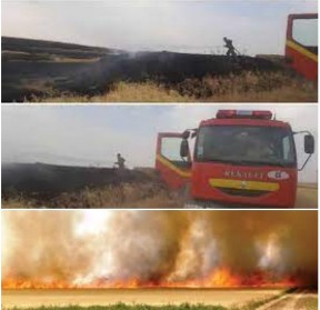 Screenshot_۲۰۲۳۰۶۰۴-۱۸۲۳۰۷_PhotoEditor_copy_288x279