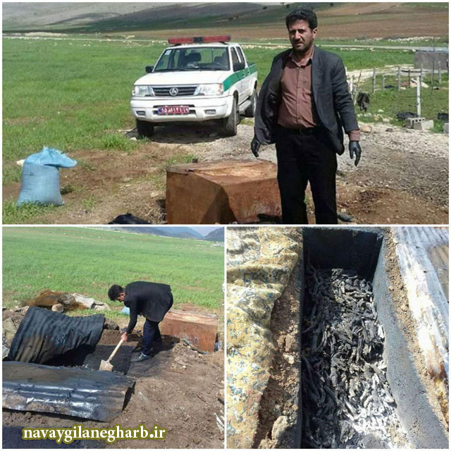 photo_2020-04-01_10-51-34