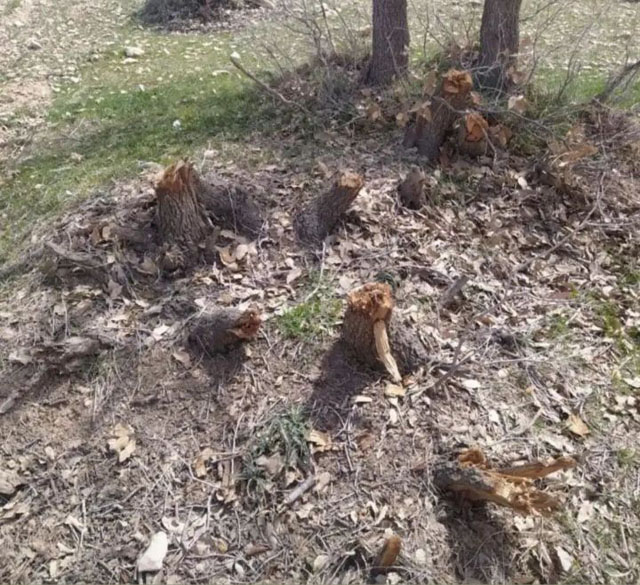 photo_2022-03-27_03-24-55