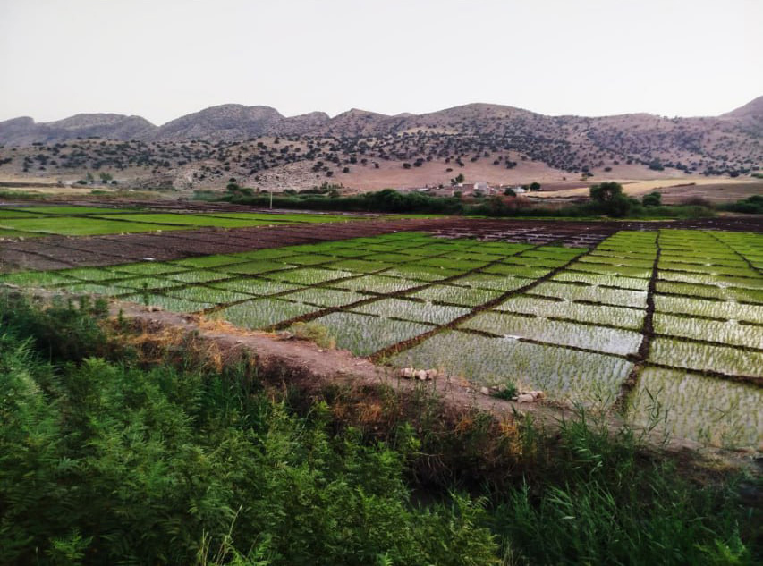 photo_2024-06-30_13-15-18