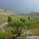 مردم روستای “مورت شاوله” گیلانغرب  چشم انتظار آسفالت