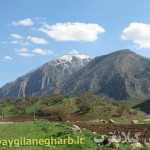 تصاویر زیبا ی بهاری از طبیعت« گواور وحیدریه »گیلانغرب