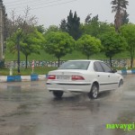 بارش باران بهاری به هوای گیلانغرب لطافت خاصی بخشید