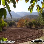 تصاویر: طبیعت پاییزی جنگل های گیلانغرب