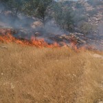 کوه “سرکش ” گیلانغرب همچنان درآتش می سوزد