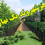 بااجرای طرح هرشهروندیک نهال می توان بوستان ۷هکتاری درگیلانغرب ایجادکرد