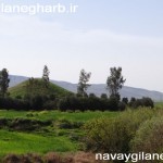 تصاویر بهاری دهستان حومه پایین شهر گیلانغرب