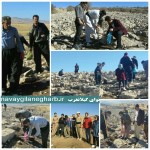 اجرای طرح جنگلانه با کاشت ۱۵ هزار انواع  بذر جنگلی در گیلانغرب+تصاویر