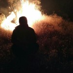 کوه سرکش گیلانغرب دیشب در مرگ بلوط هایش عزاردار بود