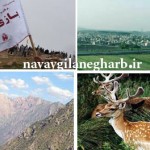 جدا کردن بخش های ازگیلانغرب محرومیت این شهرستان راتشدیدمی کند