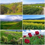 بازدید روزانه ۱۷ هزار گردشگر از ناودار گیلانغرب  در ایام نوروز