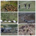 ناودار ، تفرجگاهی که بی‌مهری می‌بیند