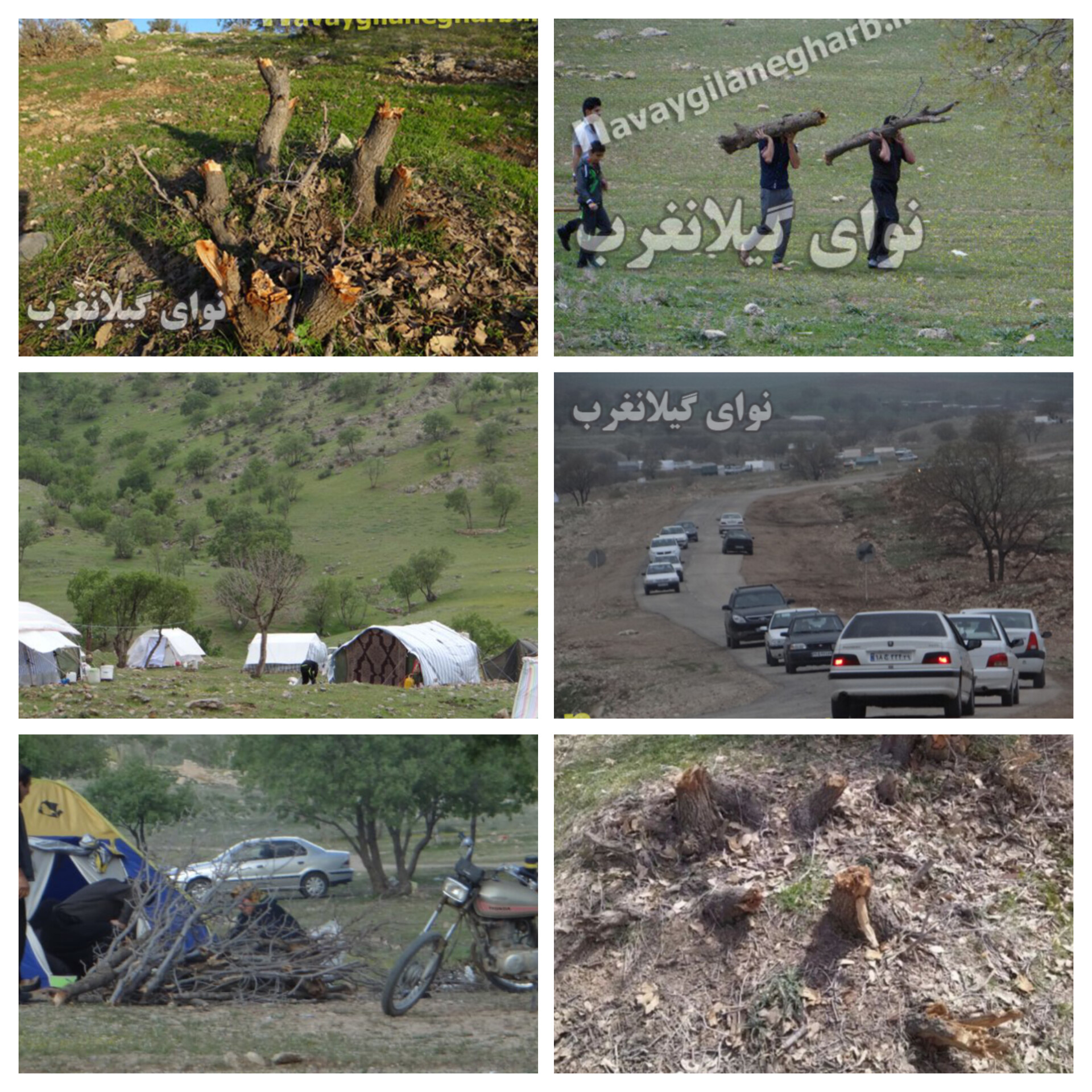 ناودار ، تفرجگاهی که بی‌مهری می‌بیند