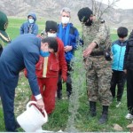 غرس نهال در اولین روز هفته درختکاری درگیلانغرب