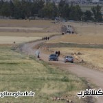 جاده سلامت درگیلانغرب تعریض ونهال کاری می شود