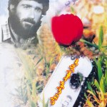 یادواره سالگرد سرادرشهید « صفرخوش روان » در گیلانغرب برگزارشد